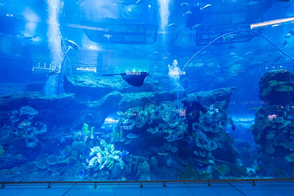 Dubai Aquarium